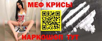 тгк Кингисепп