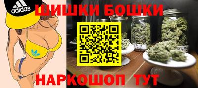тгк Кингисепп