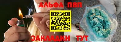 тгк Кингисепп
