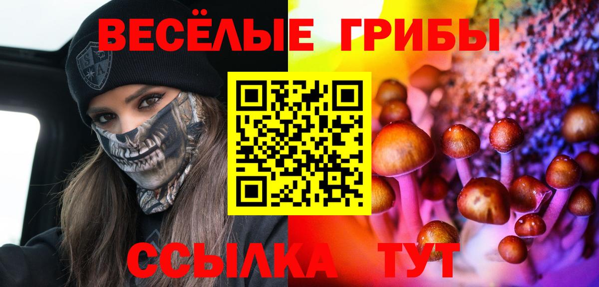 Галлюциногенные грибы прущие грибы  Вход с VPN  Краснознаменск 
